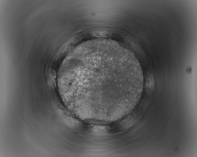 X0000115020332200911231256