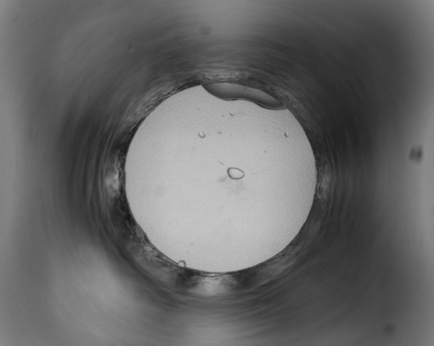 X0000115020334200911231256