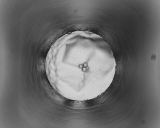 X0000115020335200911231256