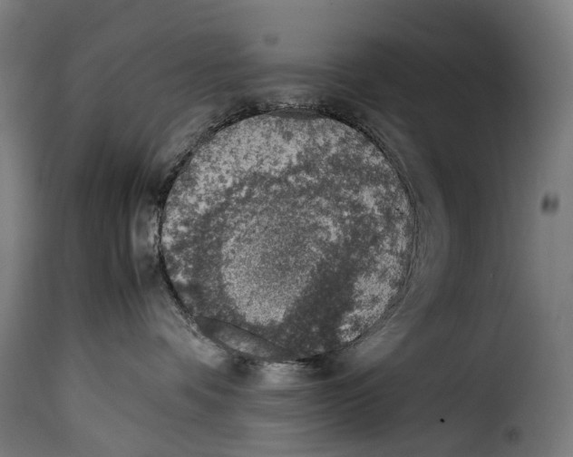 X0000115020336200911231256