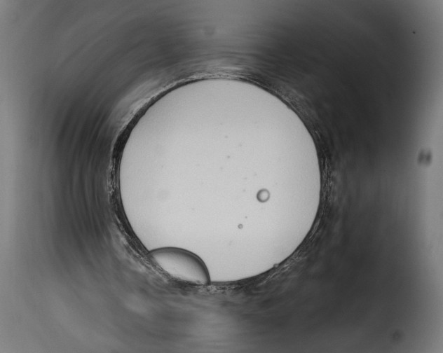 X0000115020338200911231255