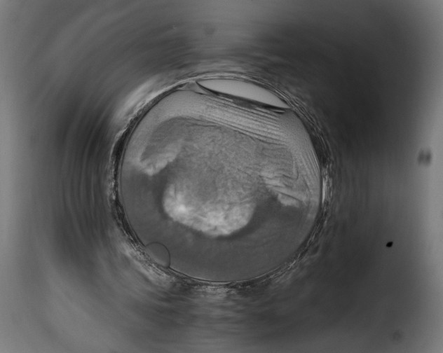 X0000115020339200911231255