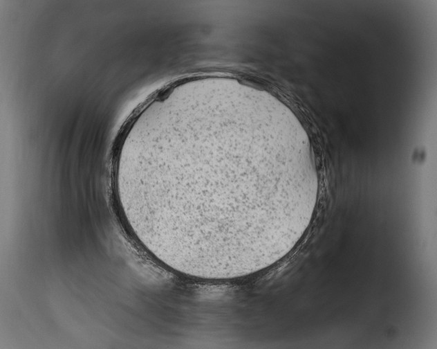 X0000115020342200911231255