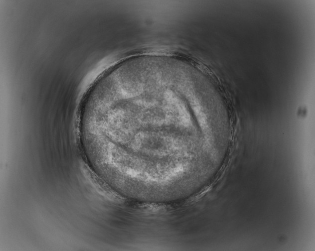 X0000115020343200911231255