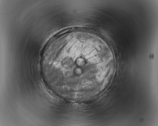 X0000115020346200911231255