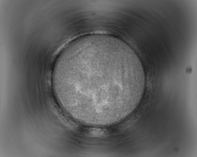 X0000115020347200911231255