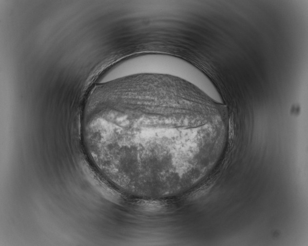 X0000115020349200911231255