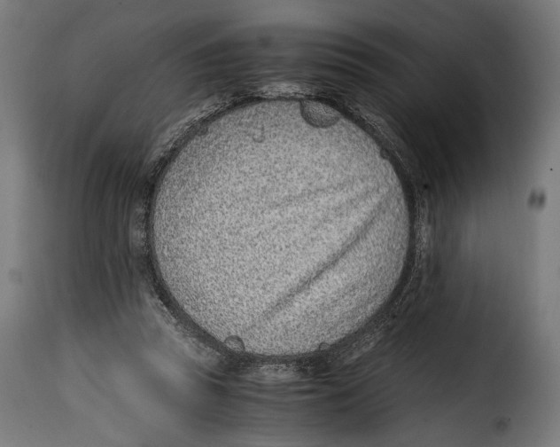 X0000115020353200911231255