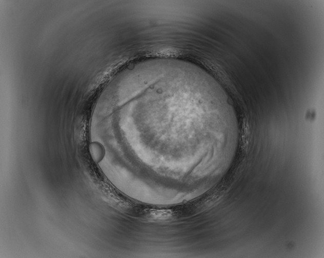 X0000115020355200911231255