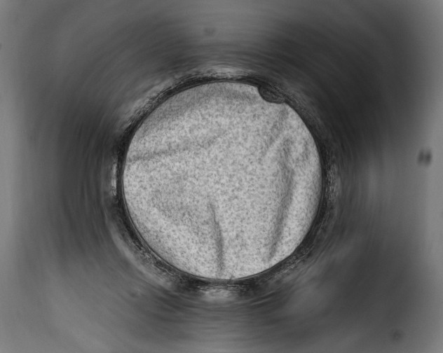 X0000115020358200911231255