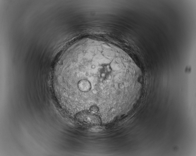 X0000115020359200911231255