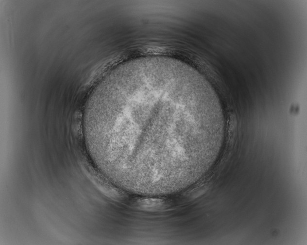 X0000115020361200911231255