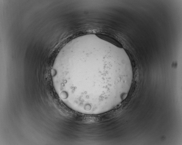 X0000115020363200911231255