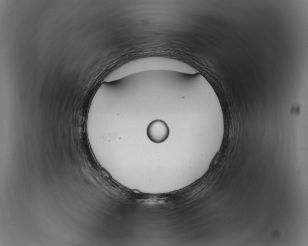 X0000115020366200911231255