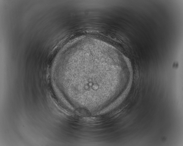 X0000115020367200911231256