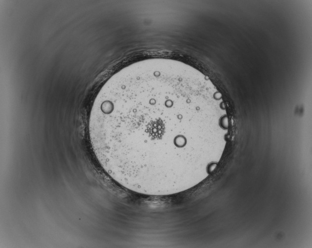 X0000115020370200911231256