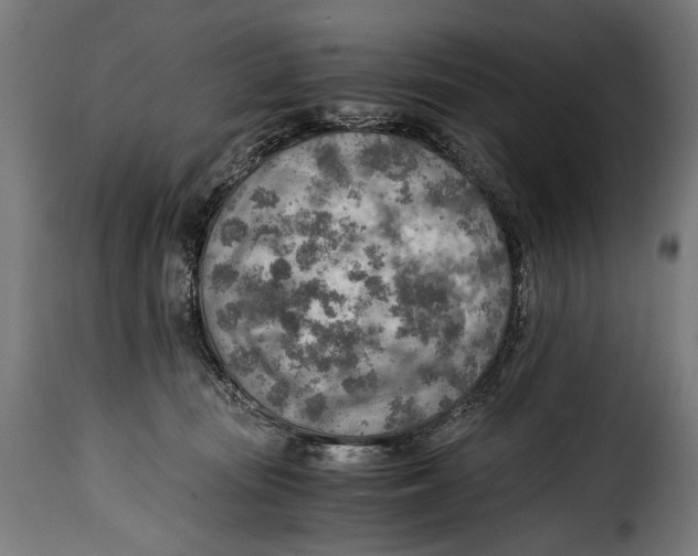 X0000115020371200911231256