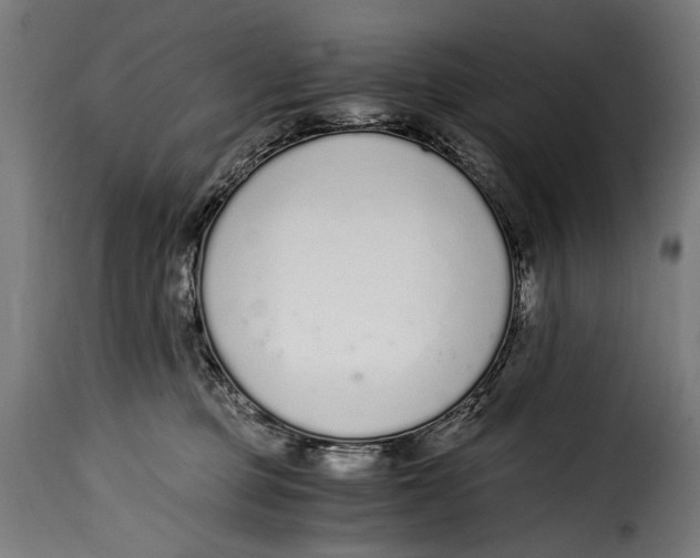 X0000115020373200911231256