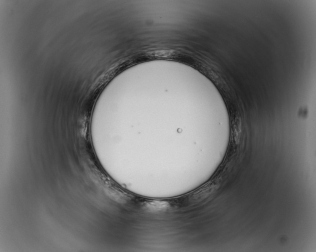 X0000115020374200911231256