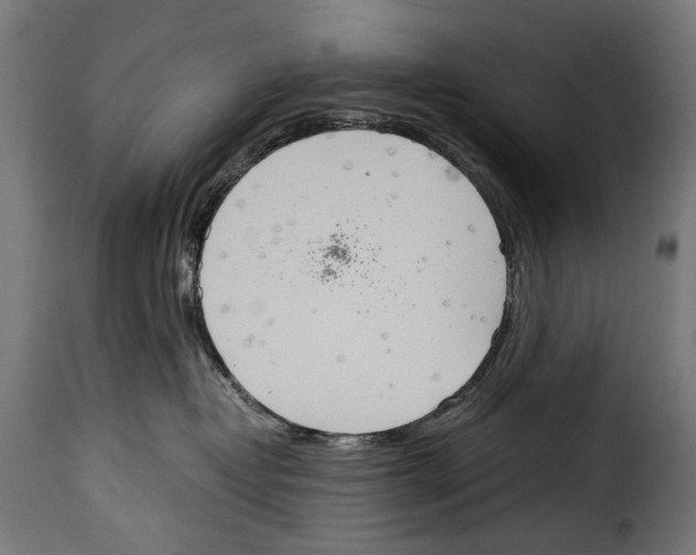 X0000115020382200911231256