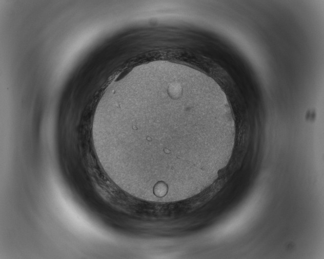 X0000115020383200911231256