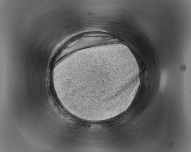 X0000115020388200911231255