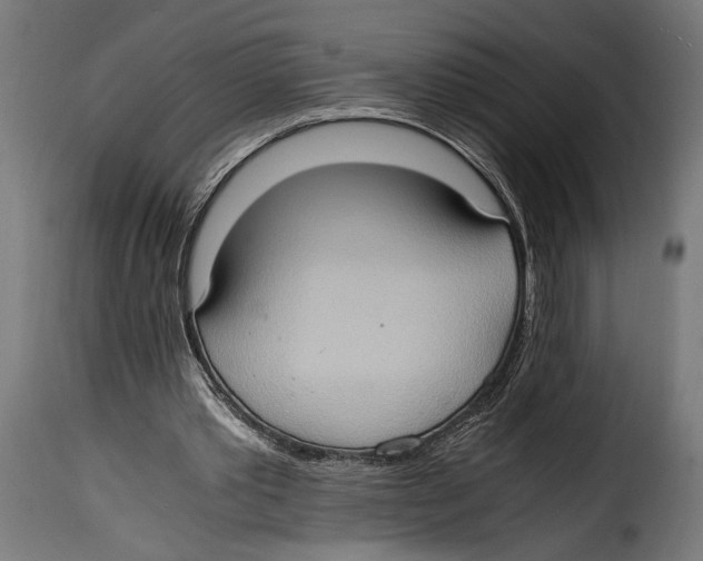 X0000115020389200911231255