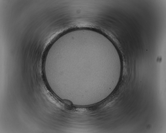 X0000115020391200911231255