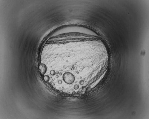 X0000115020392200911231255