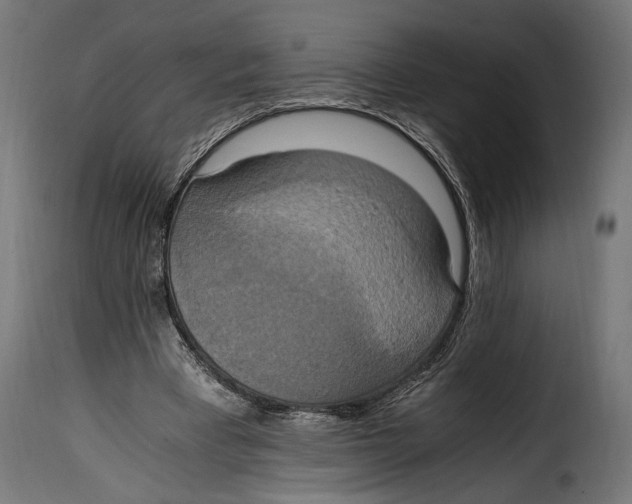 X0000115020393200911231255