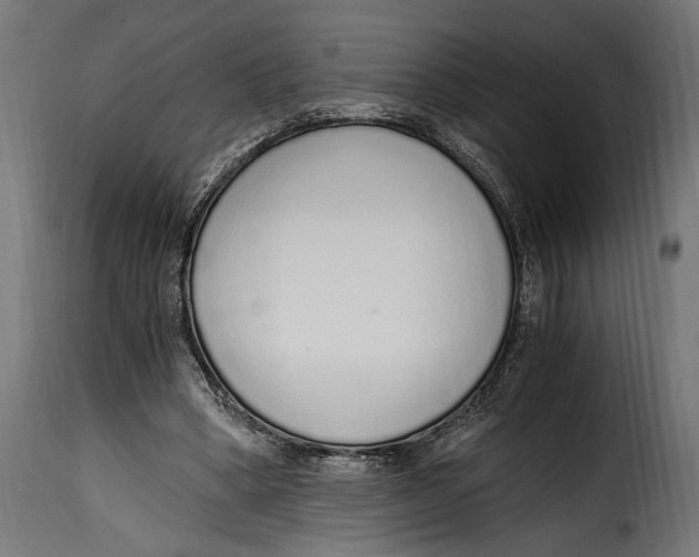 X0000115020394200911231255