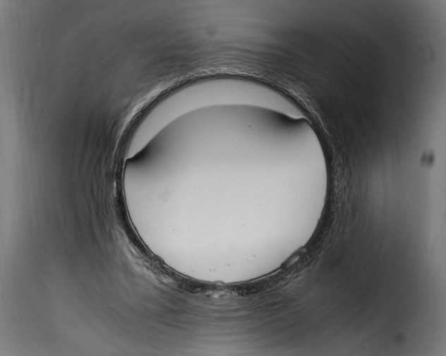 X0000115020395200911231255