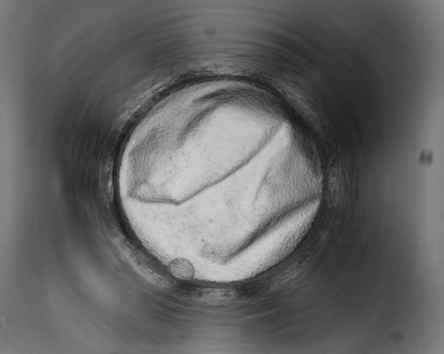 X0000115020398200911231255