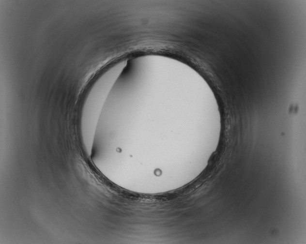 X0000115020399200911231255