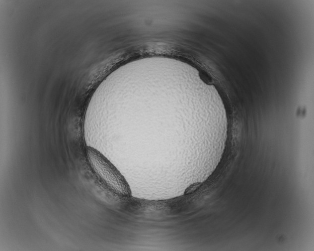 X0000115020401200911231255