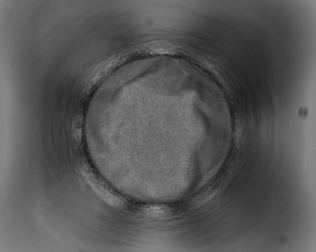 X0000115020402200911231255