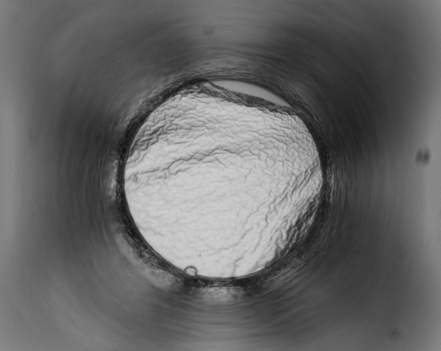 X0000115020404200911231255