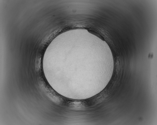 X0000115020406200911231255