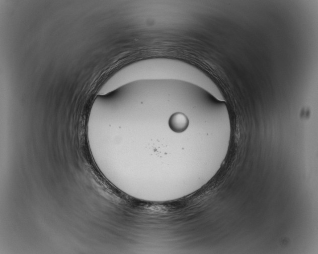 X0000115020409200911231255