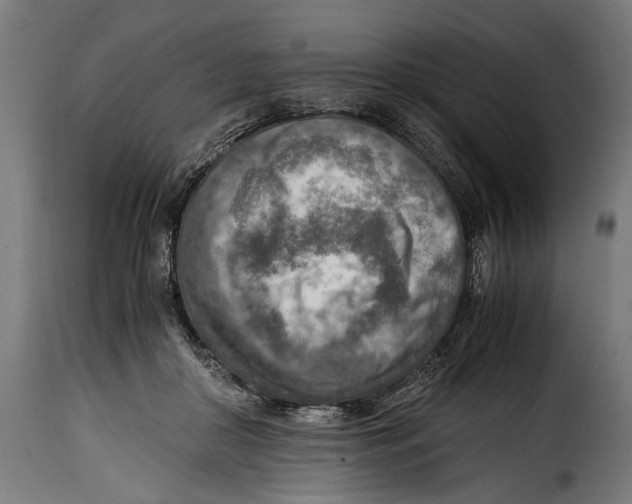 X0000115020410200911231255