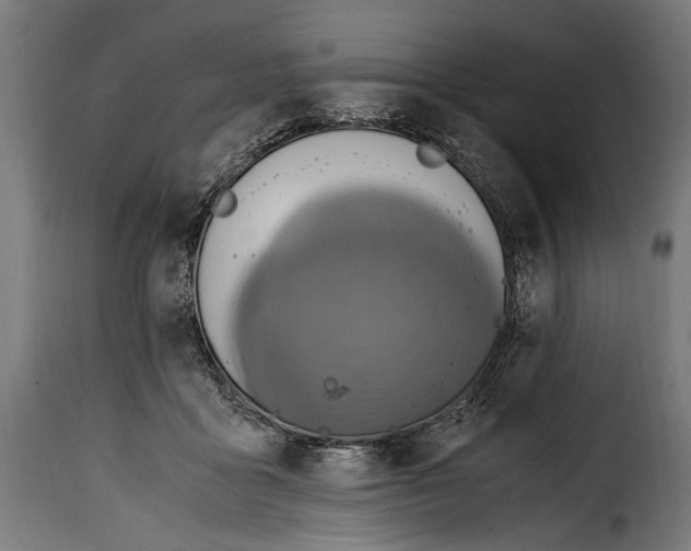 X0000115020411200911231255