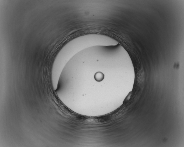 X0000115020413200911231255