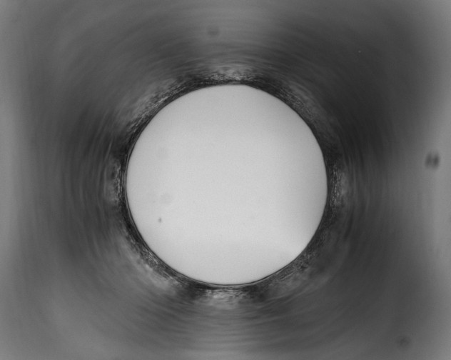 X0000115020414200911231255