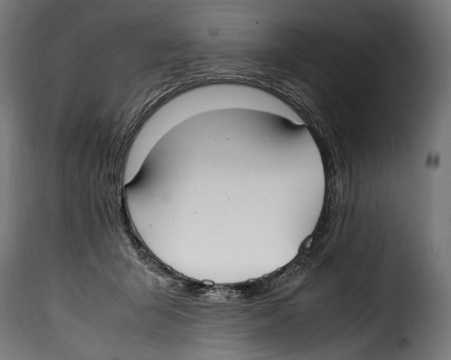 X0000115020415200911231255