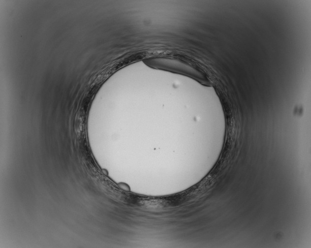 X0000115020417200911231255