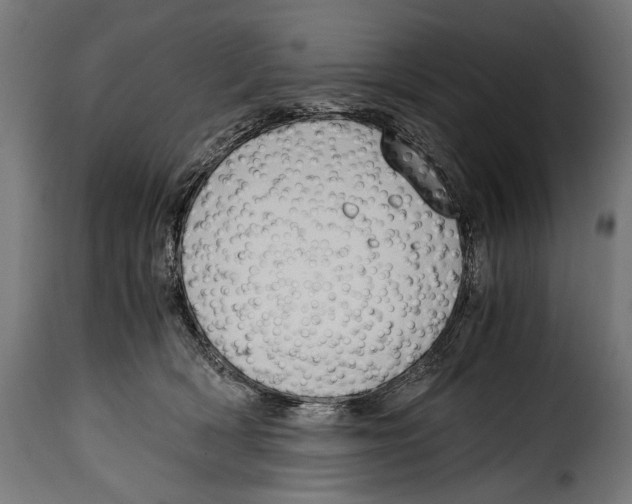 X0000115020418200911231255