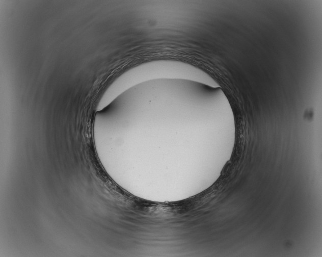 X0000115020419200911231255