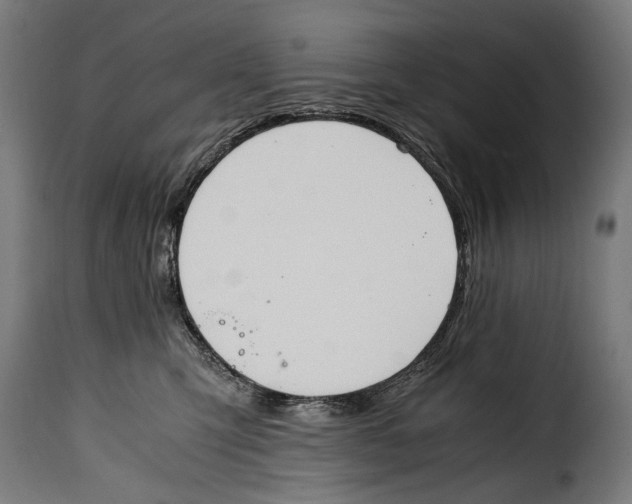 X0000115020423200911231255