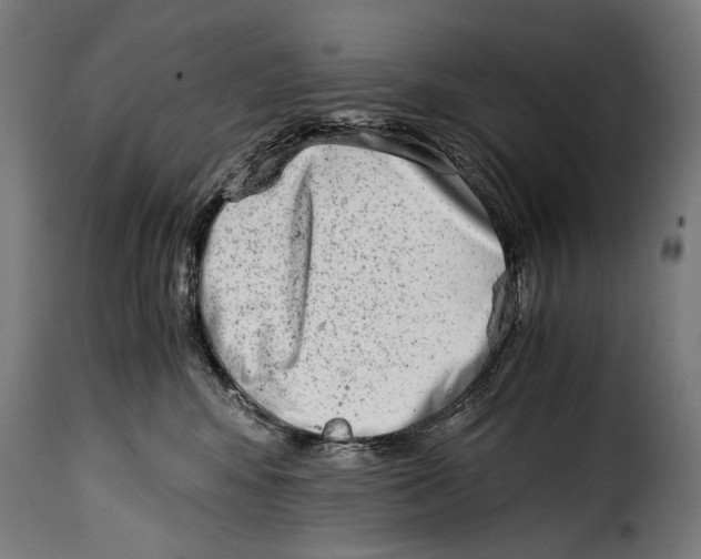 X0000115020424200911231255