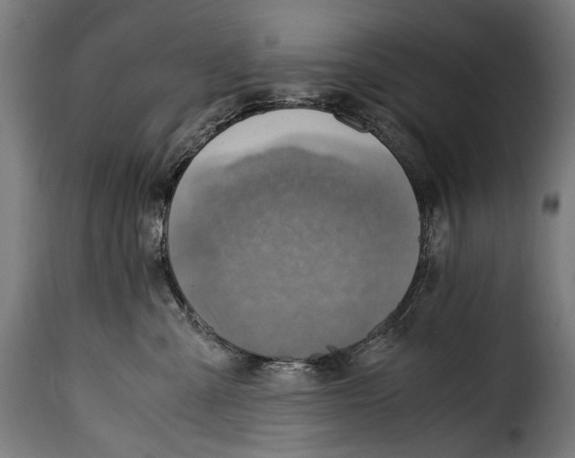 X0000115020427200911231254